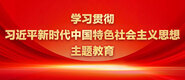 女人逼逼好痒想被男人插的视频学习贯彻习近平新时代中国特色社会主义思想主题教育_fororder_ad-371X160(2)